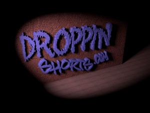 Droppin Shorts wall logo