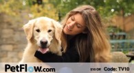 Petflow ad